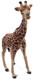 Mojo Male Giraffe - Front Angle View